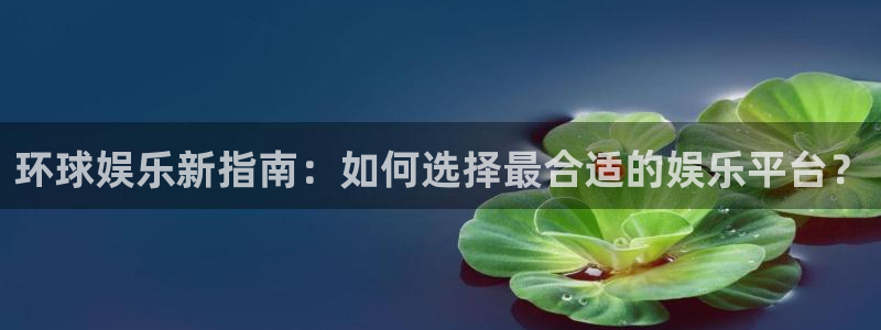 sbobet利记平台最新版本下载：环球娱乐新指南：如何选择最合适的娱乐平台？