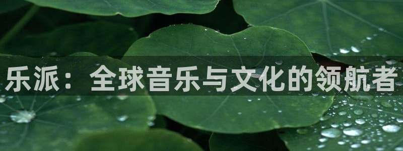 南宫sbobet利记：乐派：全球音乐与文化的领航者