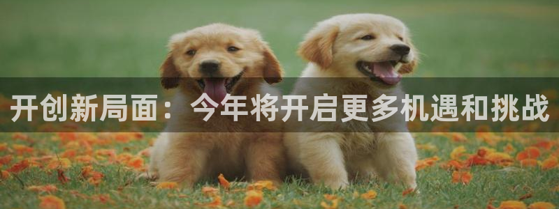 sbobet利记是赌博吗：开创新局面：今年将开启更多机遇和挑战
