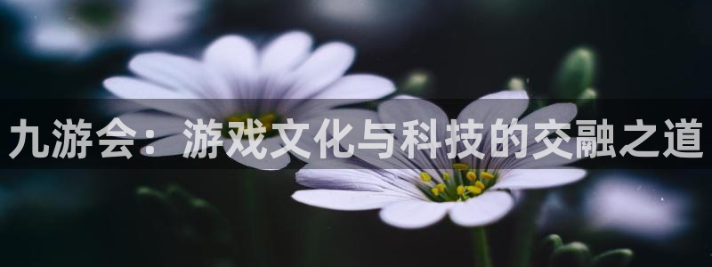 sbobet利记可靠吗：九游会：游戏文化与科技的交融之道
