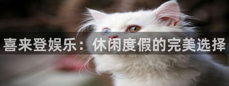 壹号电子娱乐app下载最新版本：喜来登娱乐：休闲度假的完美选择