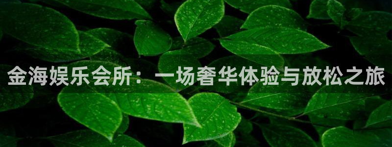 sbobet利记注册网站链接：金海娱乐会所：一场奢华体验与放松之旅