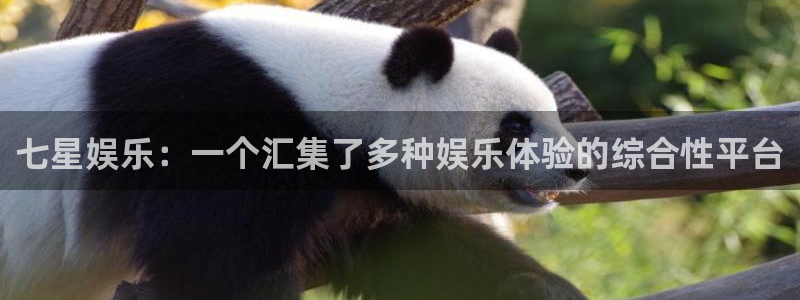 sbobet利记平台下载入口：七星娱乐：一个汇集了多种娱乐体验的综合性平台