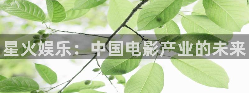 sbobet利记app：星火娱乐：中国电影产业的未来