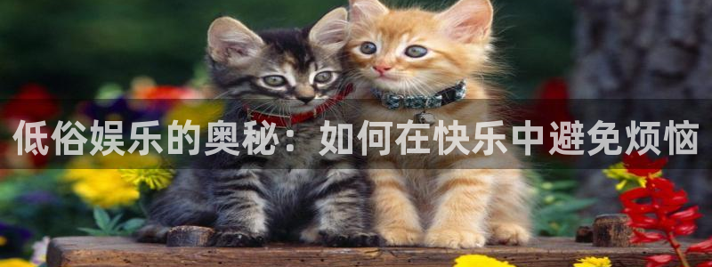 电子游戏sbobet利记：低俗娱乐的奥秘：如何在快乐中避免烦恼