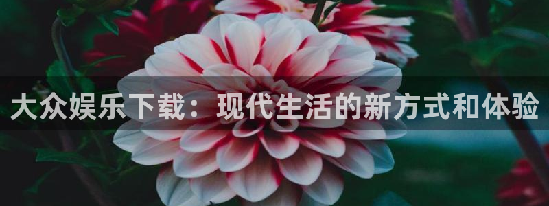 壹号玩家app下载：大众娱乐下载：现代生活的新方式和体验
